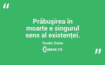 Prăbuşirea în moarte e singurul sens al existenţei. Teodor Dume...