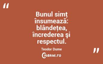 Bunul simţ însumează: blândeţea, încrederea şi respectul. Teodor Dume...