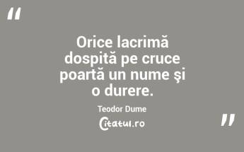 Orice lacrimă dospită pe cruce poartă un nume şi o durere. Teodor Dume...