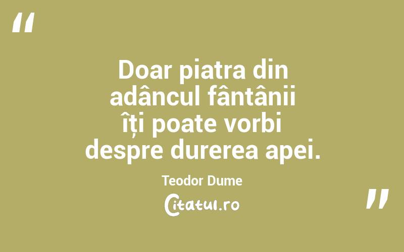 Doar piatra din adâncul fântânii îţi poate vorbi despre durerea apei. Teodor Dume

