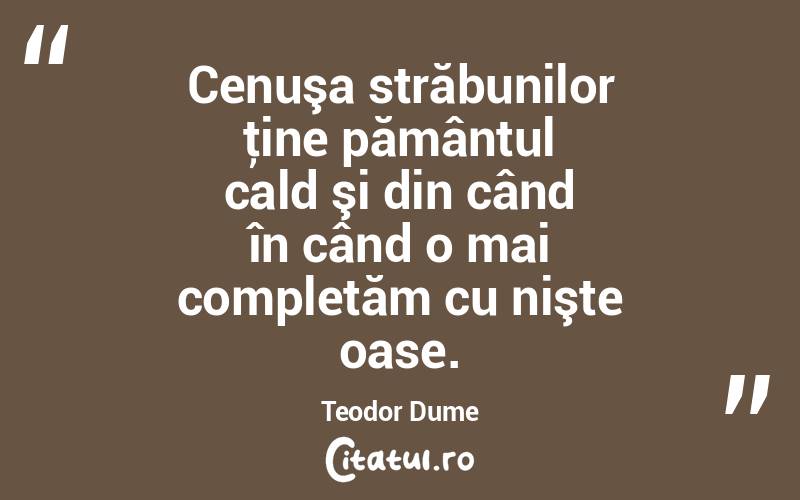 Cenuşa străbunilor ţine pământul cald şi din când în când o mai completăm cu nişte oase. Teodor Dume

