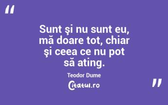 Sunt şi nu sunt eu, mă doare tot, chiar şi ceea ce nu pot să ating. Teodor Dume...