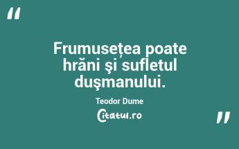 Frumuseţea poate hrăni şi sufletul duşmanului. Teodor Dume...