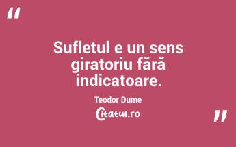 Sufletul e un sens giratoriu fără indicatoare. Teodor Dume...