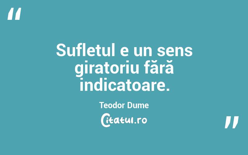 Sufletul e un sens giratoriu fără indicatoare. Teodor Dume
