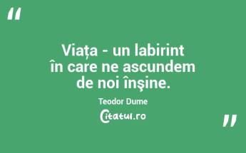 Viaţa - un labirint în care ne ascundem de noi înşine. Teodor Dume...