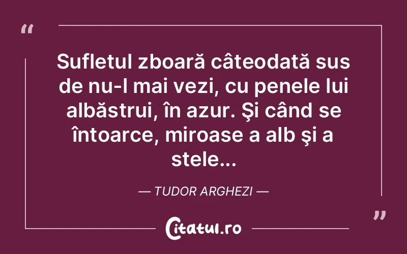 Sufletul zboară câteodată sus de nu-l mai vezi, cu penele lui albăstrui, în azur. Şi când se întoarce, miroase a alb şi a stele... Tudor Arghezi