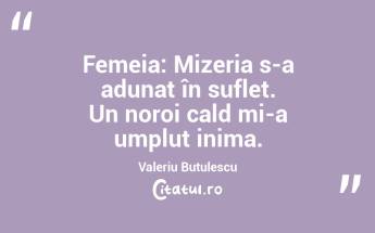  Femeia: Mizeria s-a adunat în suflet. Un noroi cald mi-a umplut inima. Valeriu Butulescu...