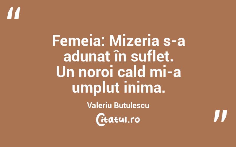  Femeia: Mizeria s-a adunat în suflet. Un noroi cald mi-a umplut inima. Valeriu Butulescu
