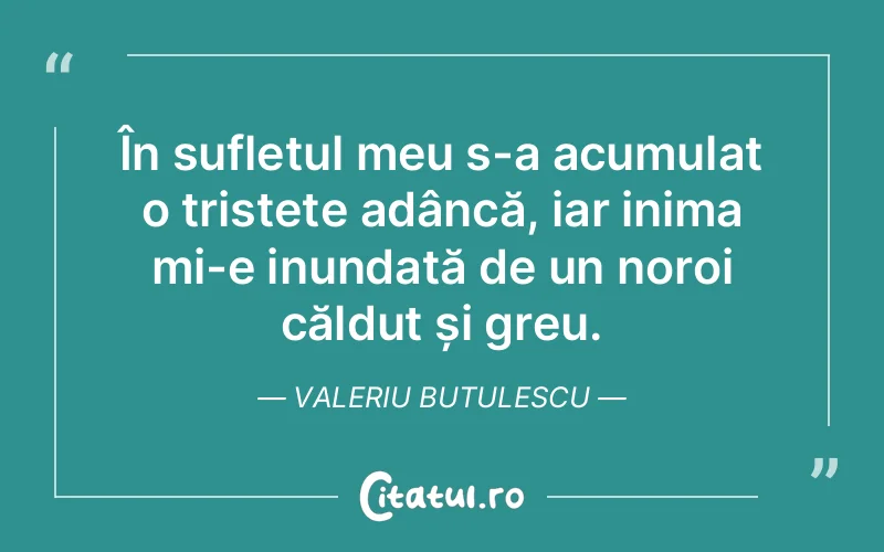 În sufletul meu s-a acumulat o tristețe adâncă, iar inima mi-e inundată de un noroi călduț și greu. Valeriu Butulescu