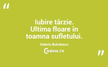  Iubire târzie. Ultima floare în toamna sufletului. Valeriu Butulescu...
