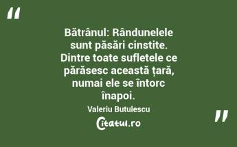  Bătrânul: Rândunelele sunt păsări cinstite. Dintre toate sufletele ce părăsesc această ţară, numai ele se întorc înapoi. Valeriu Butulescu...