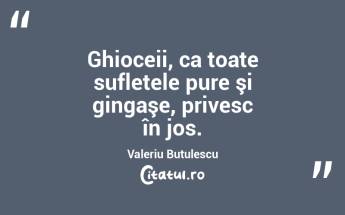 Ghioceii, ca toate sufletele pure şi gingaşe, privesc în jos. Valeriu Butulescu...
