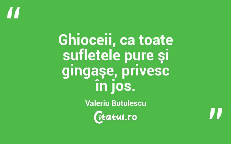 Ghioceii, ca toate sufletele pure şi gingaşe, privesc în jos. Valeriu Butulescu
