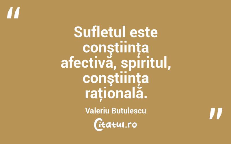 Sufletul este conştiinţa afectivă, spiritul, conştiinţa raţională. Valeriu Butulescu
