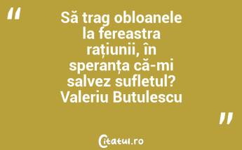 Să trag obloanele la fereastra raţiunii, în speranţa că-mi salvez sufletul? Valeriu Butulescu...