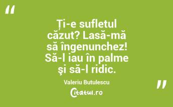 Ţi-e sufletul căzut? Lasă-mă să îngenunchez! Să-l iau în palme şi să-l ridic. Valeriu Butulescu...