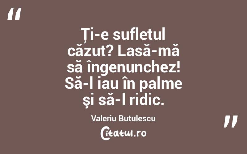 Ţi-e sufletul căzut? Lasă-mă să îngenunchez! Să-l iau în palme şi să-l ridic. Valeriu Butulescu
