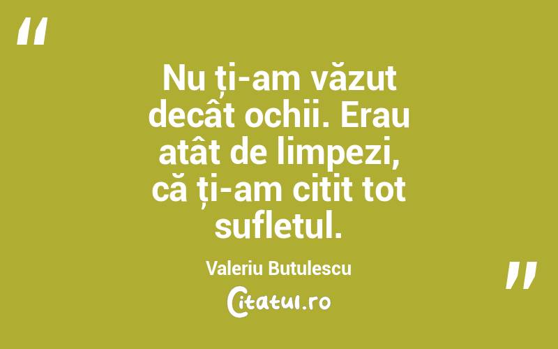 Nu ţi-am văzut decât ochii. Erau atât de limpezi, că ţi-am citit tot sufletul. Valeriu Butulescu
