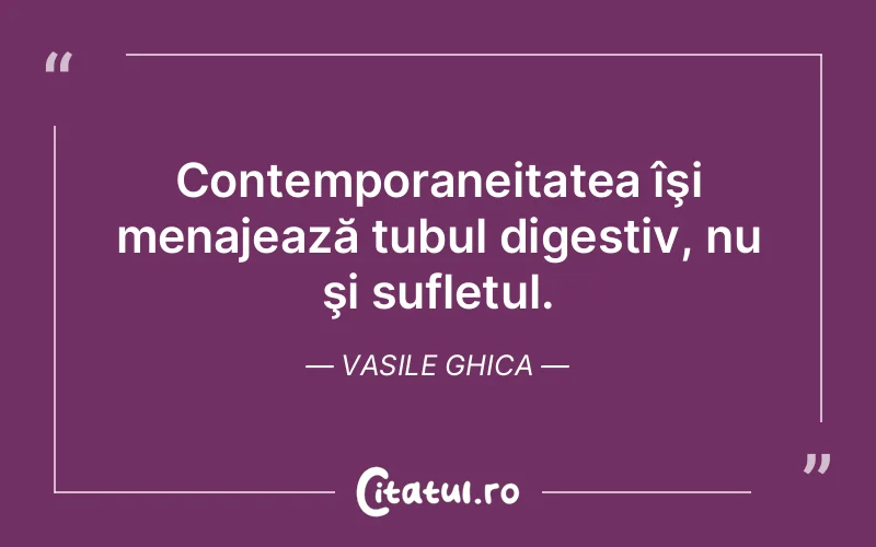 Contemporaneitatea îşi menajează tubul digestiv, nu şi sufletul. Vasile Ghica