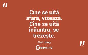 Cine se uită afară, visează. Cine se uită înăuntru, se trezește. Carl Jung...