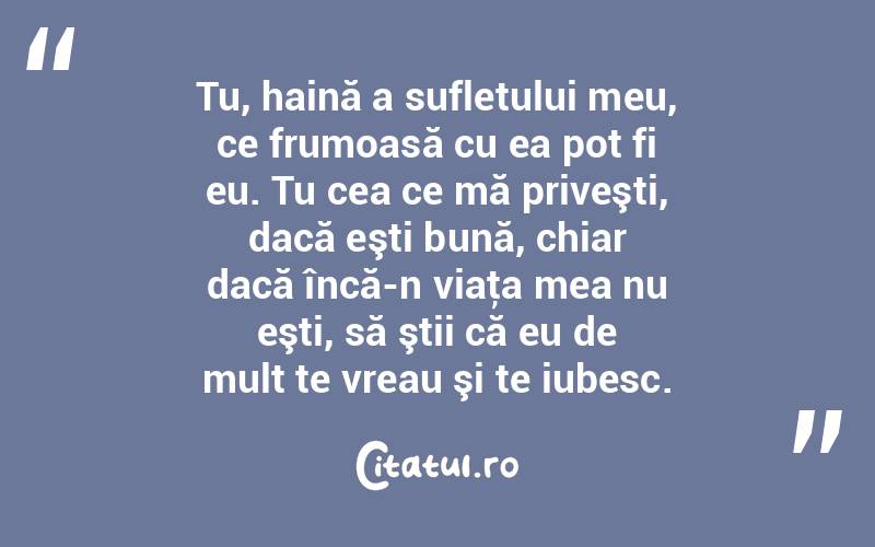 Tu, haină a sufletului meu, ce frumoasă cu ea pot fi eu. Tu cea ce mă priveşti, dacă eşti bună, chiar dacă încă-n viaţa mea nu eşti, să ştii că eu de mult te vreau şi te iubesc. 
