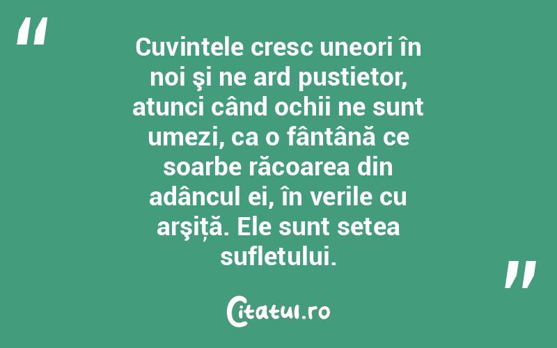 Cuvintele cresc uneori în noi şi ne ard pustietor, atunci când ochii ne sunt umezi, ca o fântână ce soarbe răcoarea din adâncul ei, în verile cu arşiţă. Ele sunt setea sufletului. 
