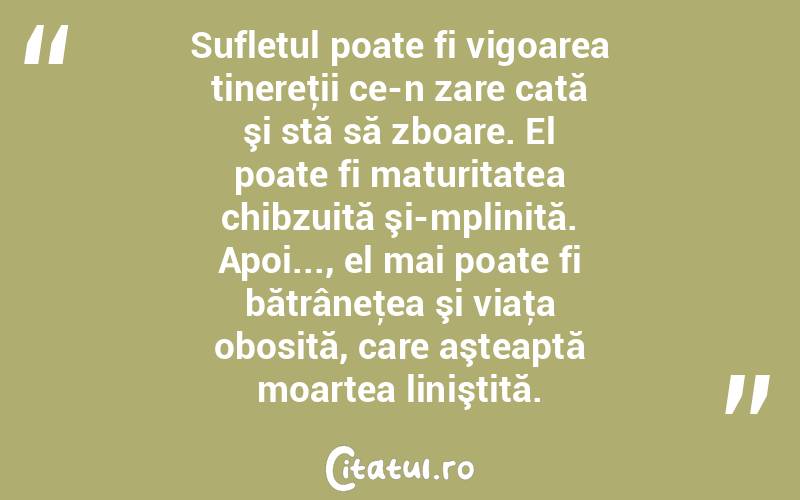 Sufletul poate fi vigoarea tinereţii ce-n zare cată şi stă să zboare. El poate fi maturitatea chibzuită şi-mplinită. Apoi..., el mai poate fi bătrâneţea şi viaţa obosită, care aşteaptă moartea liniştită. 
