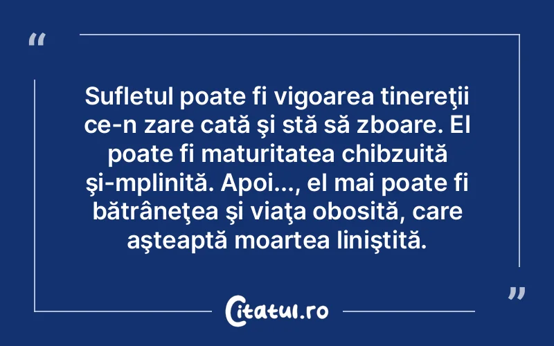 Sufletul poate fi vigoarea tinereţii ce-n zare cată şi stă să zboare. El poate fi maturitatea chibzuită şi-mplinită. Apoi..., el mai poate fi bătrâneţea şi viaţa obosită, care aşteaptă moartea liniştită.