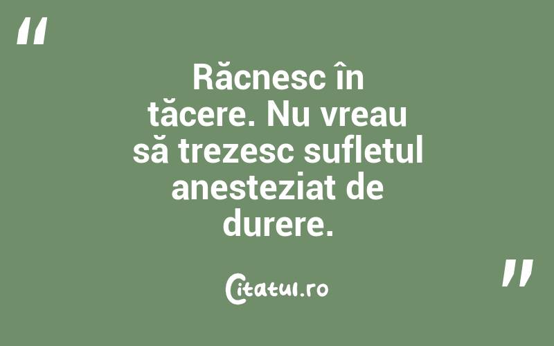 Răcnesc în tăcere. Nu vreau să trezesc sufletul anesteziat de durere. 
