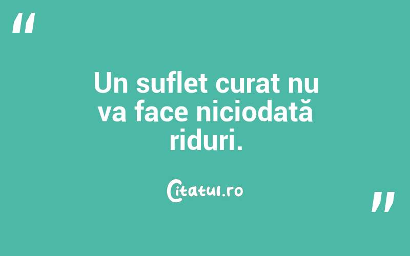Un suflet curat nu va face niciodată riduri. 
