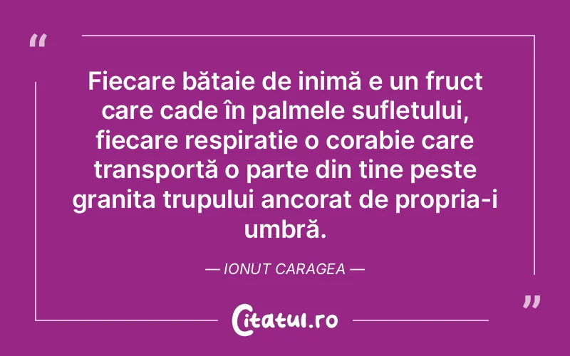 Fiecare bătaie de inimă e un fruct care cade în palmele sufletului, fiecare respirație o corabie care transportă o parte din tine peste granița trupului ancorat de propria-i umbră. Ionut Caragea