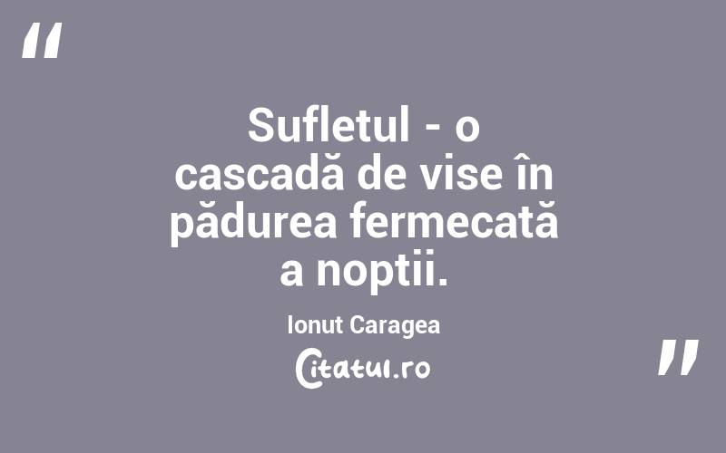 Sufletul - o cascadă de vise în pădurea fermecată a nopții. Ionuț Caragea
