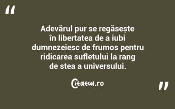 Adevărul pur se regăsește în libertatea de a iubi dumnezeiesc de frumos pentru ridicarea sufletului la rang de stea a universului. ...