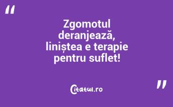 Zgomotul deranjează, liniștea e terapie pentru suflet!...