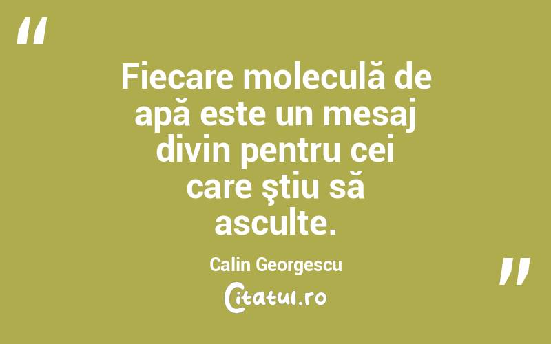 Fiecare moleculă de apă este un mesaj divin pentru cei care ştiu să asculte. Calin Georgescu
