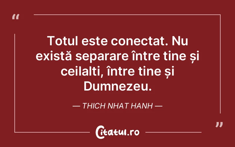 Totul este conectat. Nu există separare între tine și ceilalți, între tine și Dumnezeu. Thich Nhat Hanh