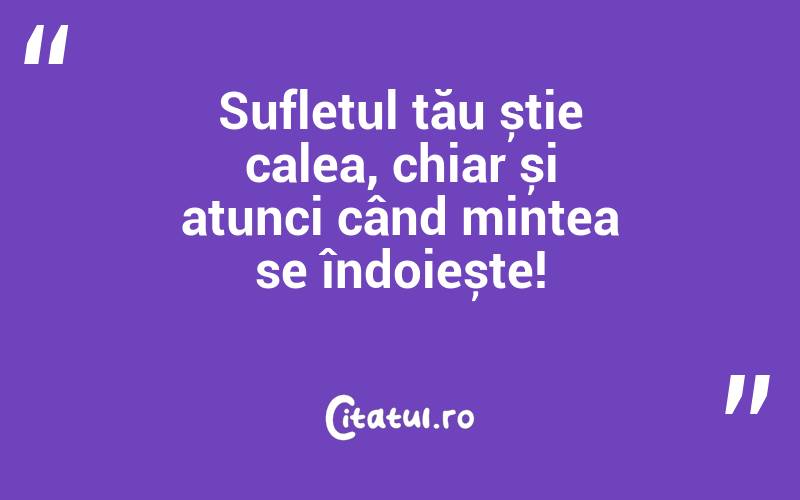 Sufletul tău știe calea, chiar și atunci când mintea se îndoiește!
