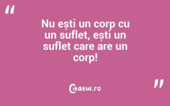 Nu ești un corp cu un suflet, ești un suflet care are un corp!...