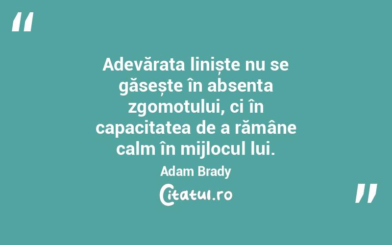 Adevărata liniște nu se găsește în absența zgomotului, ci în capacitatea de a rămâne calm în mijlocul lui. Adam Brady
