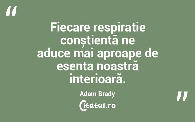 Fiecare respirație conștientă ne aduce mai aproape de esența noastră interioară. Adam Brady
