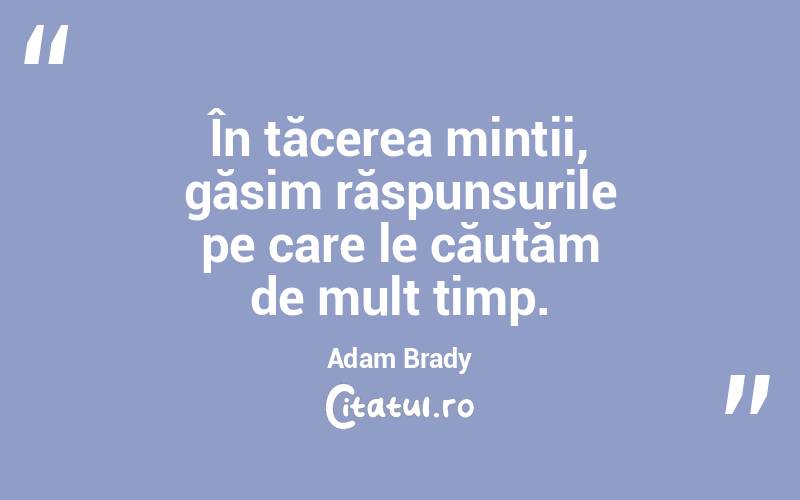 În tăcerea minții, găsim răspunsurile pe care le căutăm de mult timp. Adam Brady
