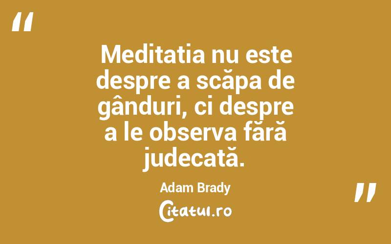 Meditația nu este despre a scăpa de gânduri, ci despre a le observa fără judecată. Adam Brady
