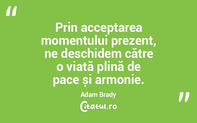 Prin acceptarea momentului prezent, ne deschidem către o viață plină de pace și armonie. Adam Brady

