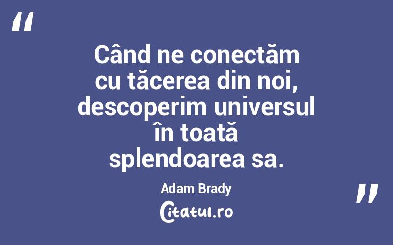 Când ne conectăm cu tăcerea din noi, descoperim universul în toată splendoarea sa. Adam Brady
