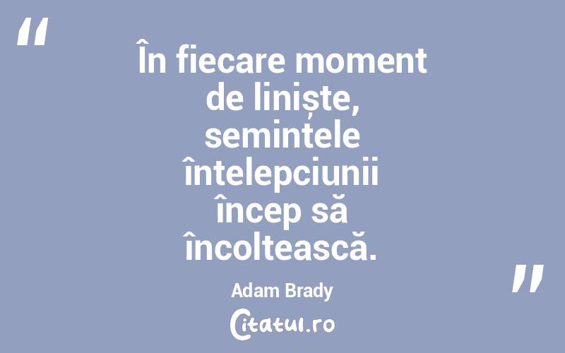 În fiecare moment de liniște, semințele înțelepciunii încep să încolțească. Adam Brady
