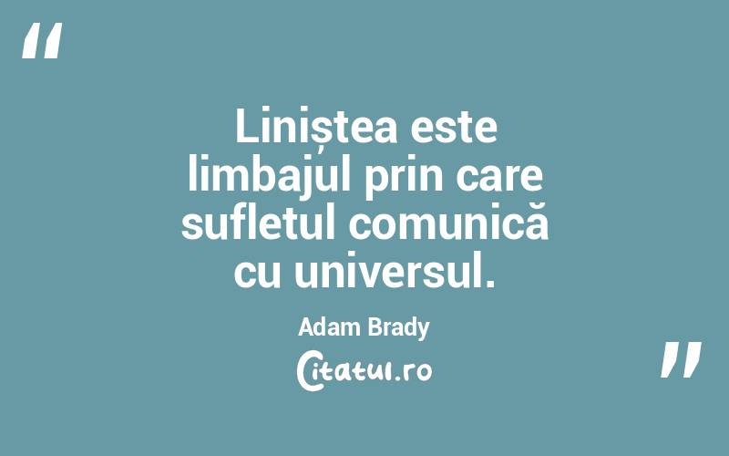 Liniștea este limbajul prin care sufletul comunică cu universul. Adam Brady
