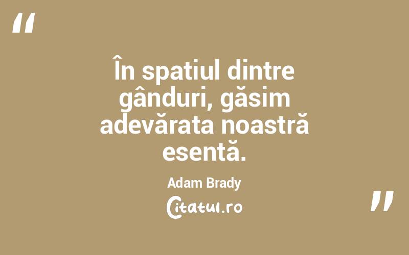 În spațiul dintre gânduri, găsim adevărata noastră esență. Adam Brady
