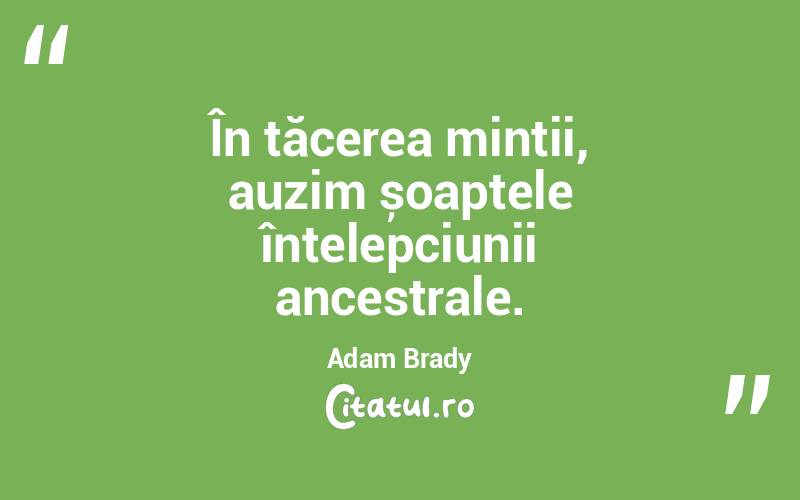 În tăcerea minții, auzim șoaptele înțelepciunii ancestrale. Adam Brady
