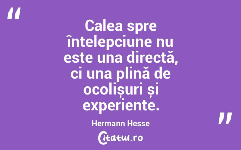 Calea spre înțelepciune nu este una directă, ci una plină de ocolișuri și experiențe. Hermann Hesse
